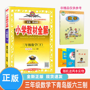 薛金星2023年新版小学教材全解 数学三年级下册青岛版六三制 3下QD青岛63制 配新版课本同步讲解练习册学霸笔记单元测试卷辅导书