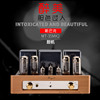 cayin MT-35MK2斯巴克MT-35mk2胆机EL34推挽胆机电子管功放 cayin MT-35MK2斯巴克MT-35mk2胆机EL34推挽胆机电子管功放