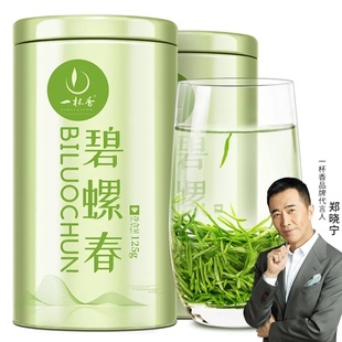 一杯香2023新茶春茶明前绿茶碧螺春苏州花果香礼盒装250g送礼品袋