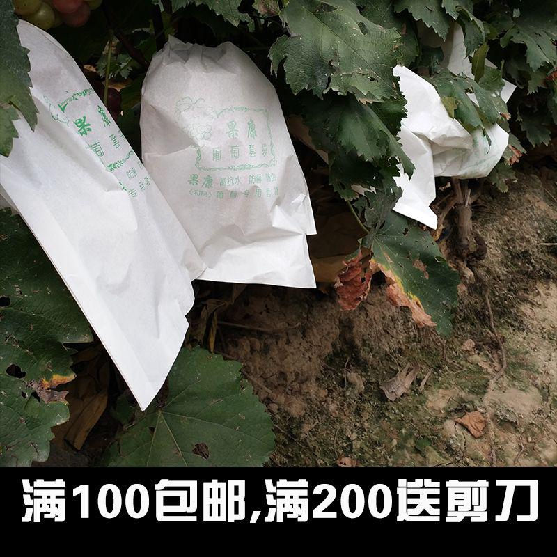 保护袋水蜜桃水果袋袋装包袋新款梨园防虫袋防鸟套袋种植袋果子|ruв категории доставка цветов/цветок моделирования/растения садоводства, садовых принадлежностей, других садовых принадлежностей - от Buy2taobao.com для оказания профессиональной услуги покупки агента Taobao
