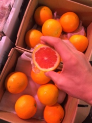 现货南非瓦伦血橙新品礼盒包装12斤装血橙胜澳洲血橙美国新奇士橙