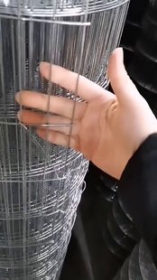 镀锌铁丝网玉米围栏专用钢丝网片围网防护网格圈地养鸡笼家用铁网