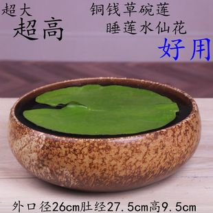 水仙花盆无孔铜钱草碗莲睡莲水培植物容器大号室内多肉陶瓷花盆