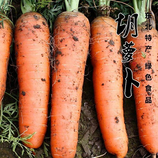 省1元 新鲜蔬菜新鲜带叶手指小胡萝卜红卜仔 迷你胡萝卜带箱5斤包邮