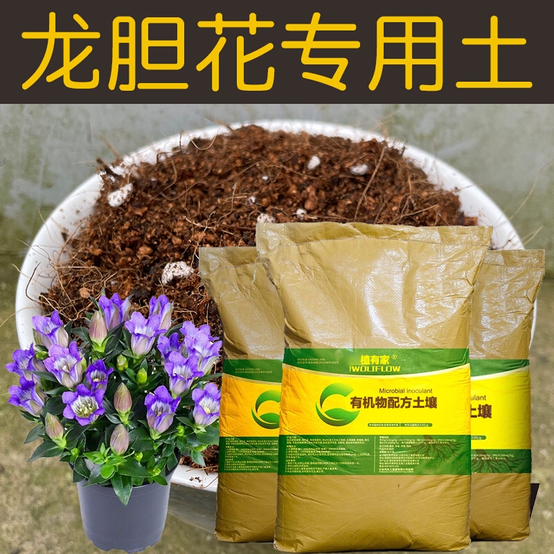 龙胆花专用土营养土龙胆花土有机椰糠泥炭土壤盆栽植物种植土花肥