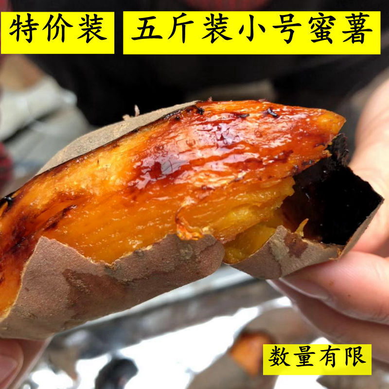 Special Offer Mini Xiaomi 25 Shandong sweet potato Potato SWEETHEARTin the Aquatic meat/Fresh fruits and vegetables/Cooked , Fresh vegetables/Vegetable products , Fresh vegetables , Sweet potato category - from Buy2taobao.com to provide professional Taobao agent buy service