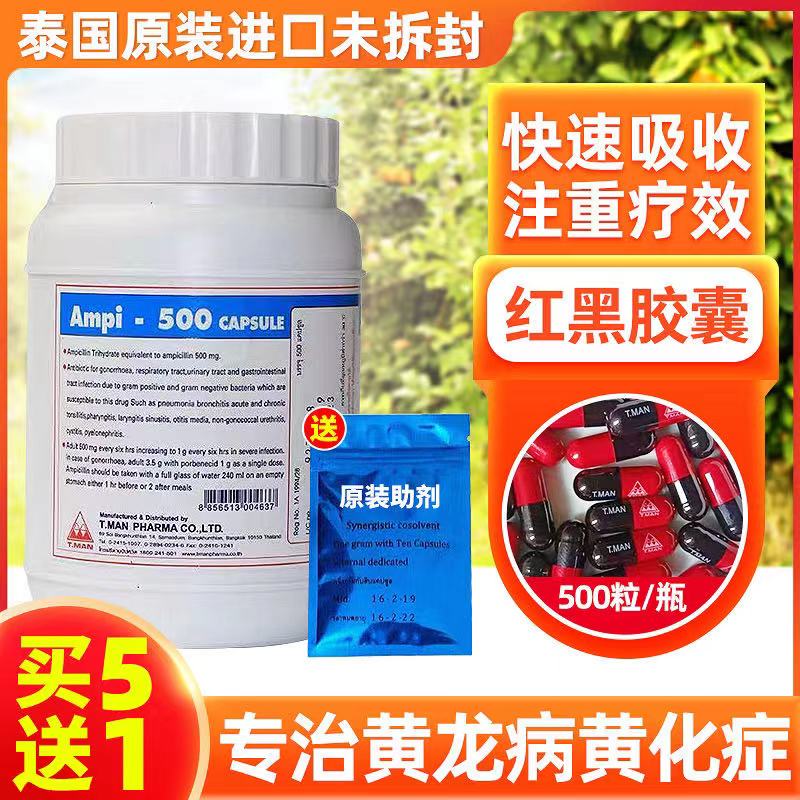 黄龙病专用药泰国红黑胶囊柑橘脐橙果树盐酸四环素胶囊果树黄化病