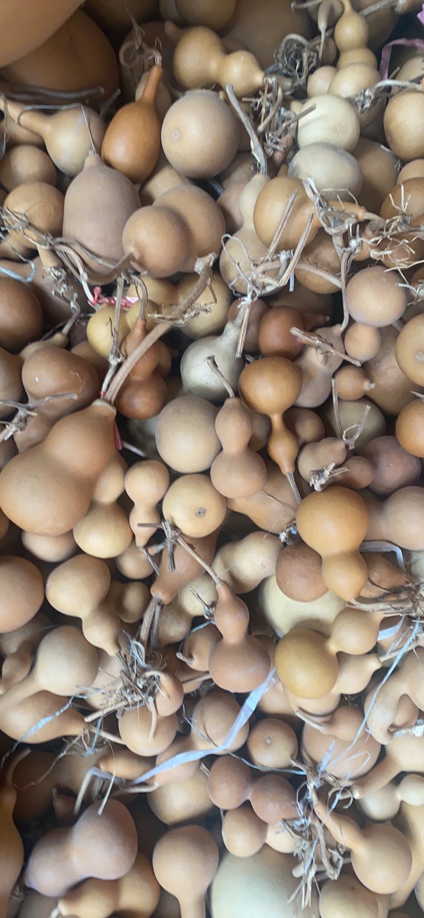 葫芦天然亚腰价格低廉手捻挂件摆件把玩镇聚财纳福葫芦