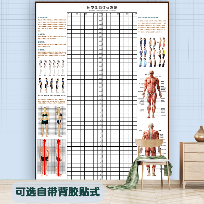 体态评估表健身房体测评估表瑜伽私教医疗形体修复图