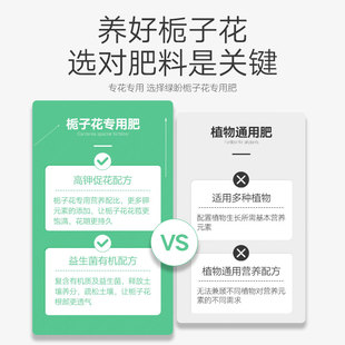 栀子花 专用肥 肥料家用专用的酸性盆栽通用营养液花肥茉莉花开花