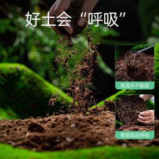 三角梅专用营养土肥料花肥养花通用型植物盆栽花土泥种植有机土壤