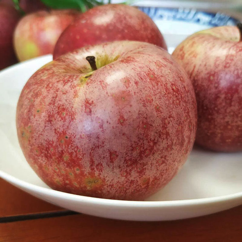 山西省临猗当季粉面沙甜秦冠新鲜丑苹果老人水果刮泥10斤整箱包邮