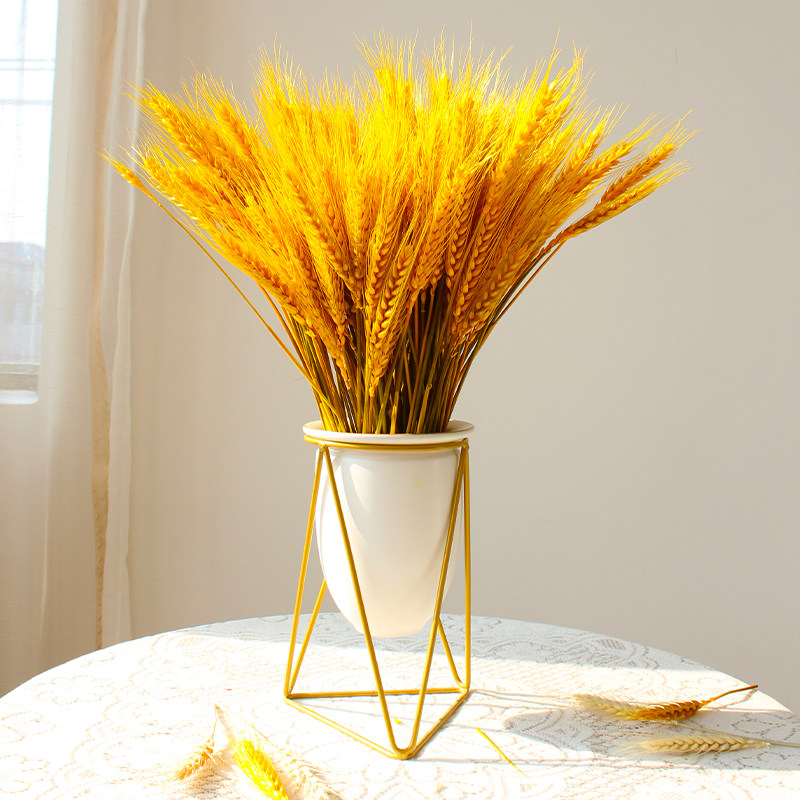 黄金麦穗干花开业大麦花束田园天然装饰布置拍摄道具客厅家居摆件