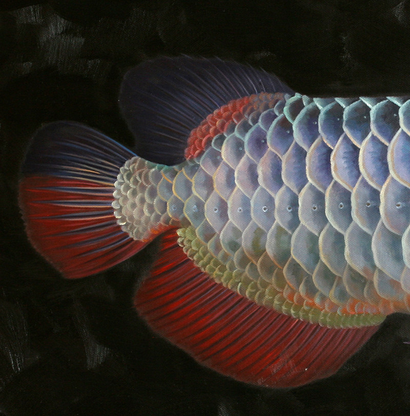 苏章峰《吉庆有鱼》写实精品油画