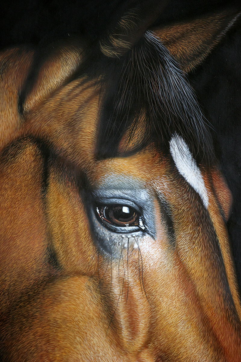 黄剑波 超写实系列《马头9-3》限量收藏级 实力派画家