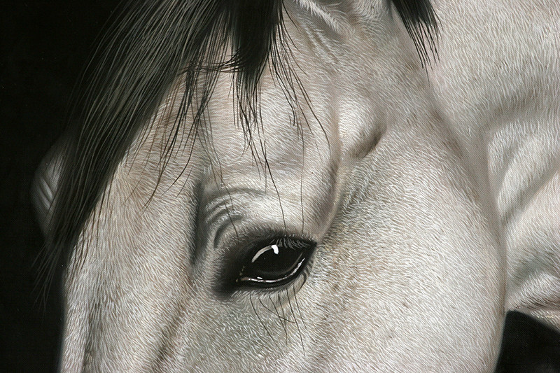 黄剑波 超写实系列《马头3-7》限量收藏级 实力派画家