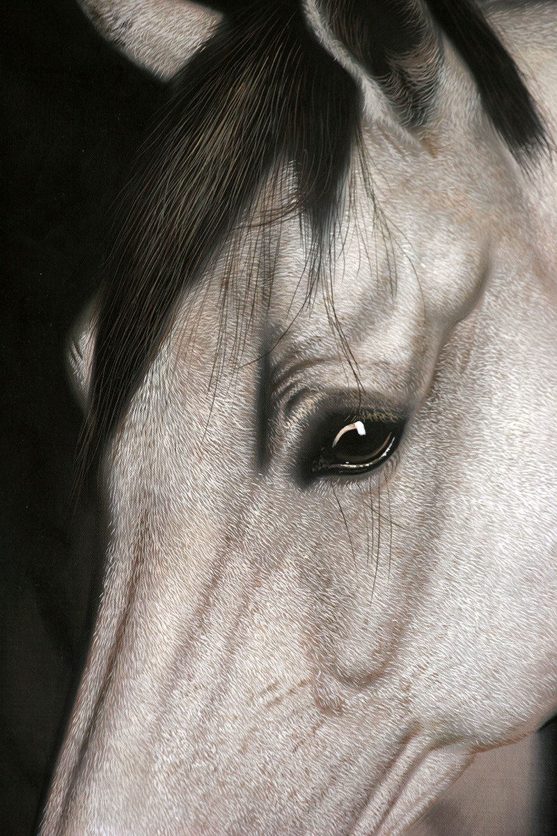 黄剑波 超写实系列《马头3-6》限量收藏级 实力派画家