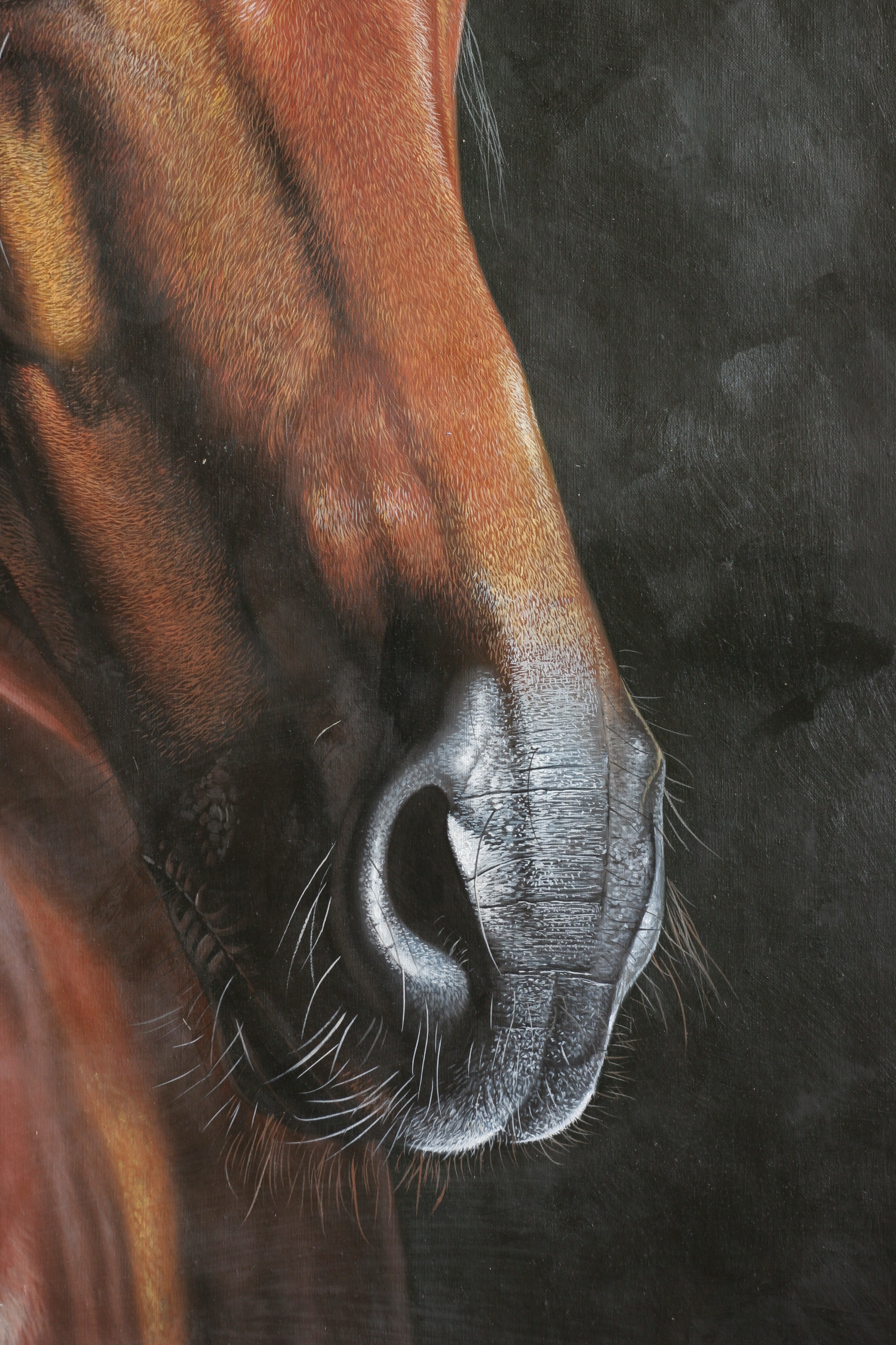 黄剑波 超写实系列《马头6-9》限量收藏级 实力派画家