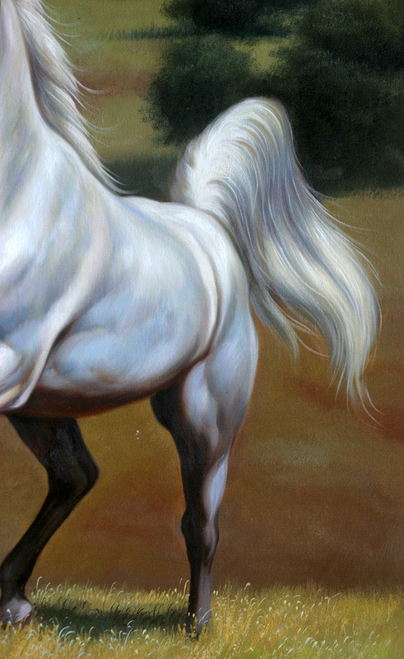 林壮奕《白龙马》 原创实力派画家