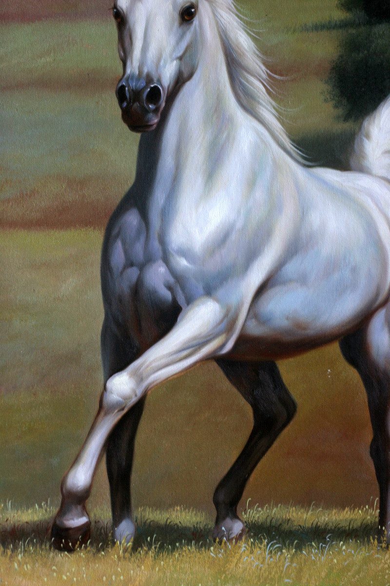 林壮奕《白龙马》 原创实力派画家