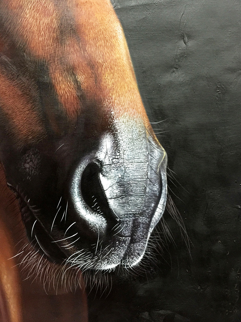 黄剑波 超写实系列《马头6-6》实力派超写实