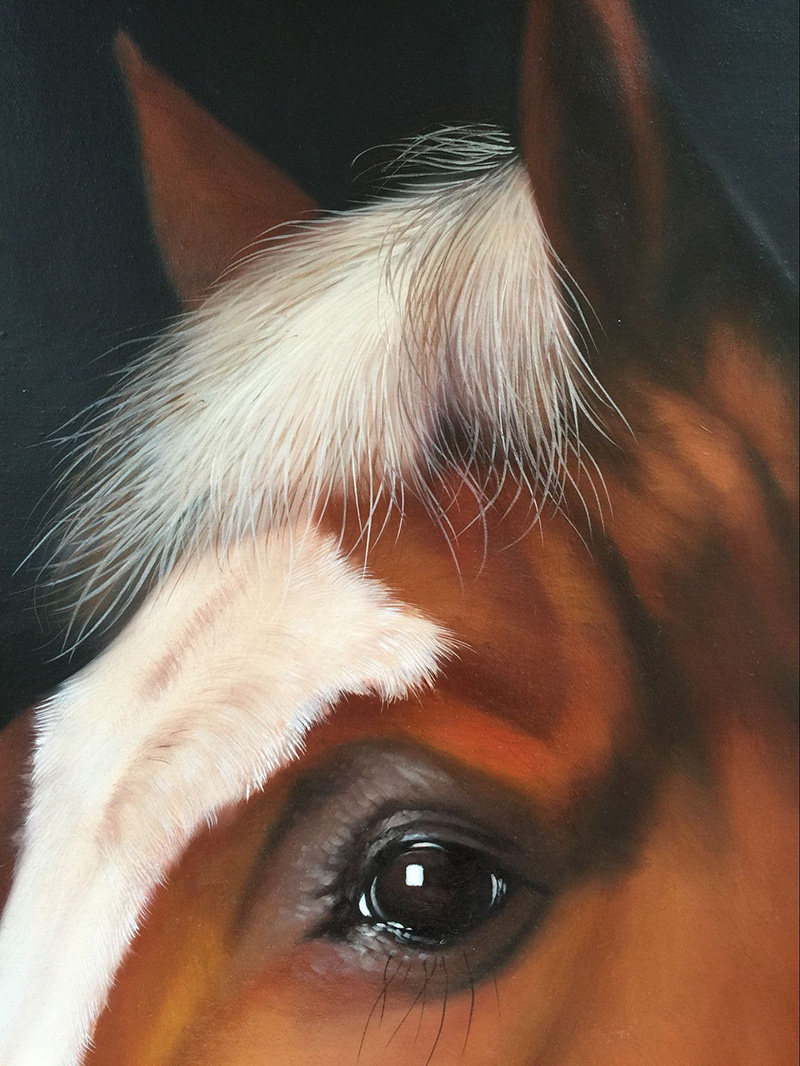 黄剑波《马头系列12》写实