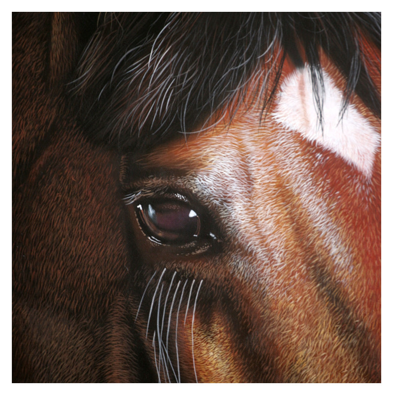 黄剑波 超写实系列《马头6-7》实力派超写实