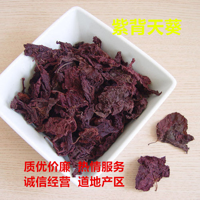 红天葵红天葵粉紫背天葵草红叶一点血散血丹中药材