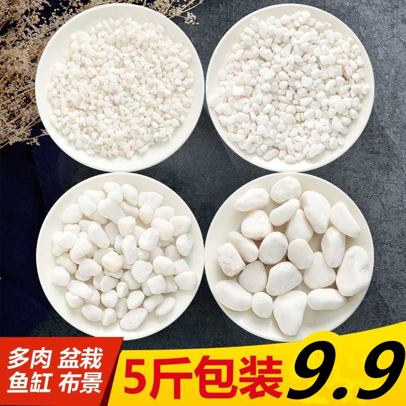 砾石石子灰色砾石白色砾石白色砾石水洗石洗米石小鹅卵石大雨花石在类目 鲜花速递/花卉仿真/绿植园艺, 园艺用品, 其它园艺用品中 - 来自Buy2taobao.com提供专业的淘宝代购服务