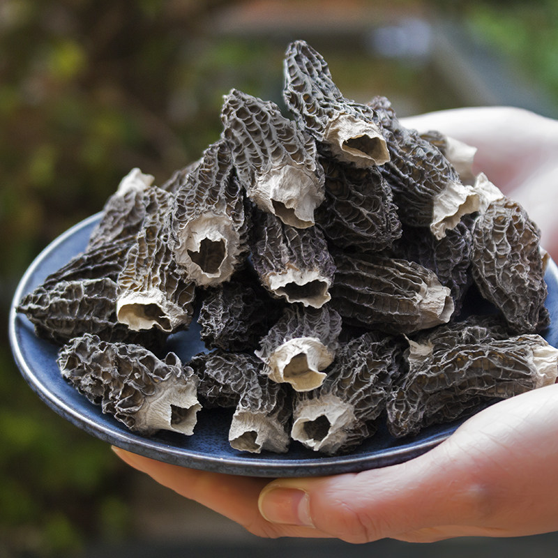 羊肚菌干货云南羊肚菌羊肚菌干货特级农家直销干羊肚菌新鲜非野生