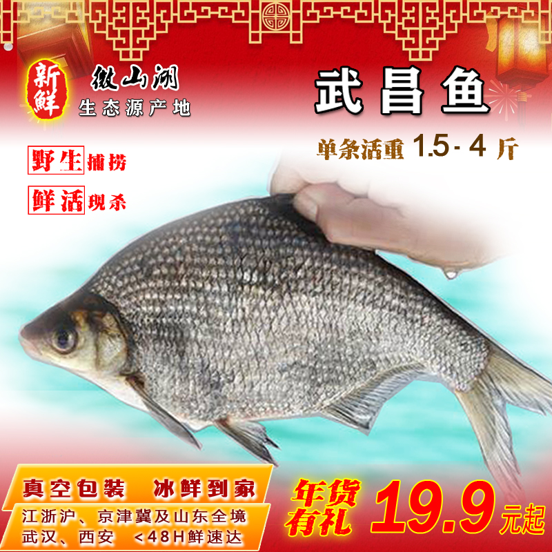 一折武昌鱼新鲜