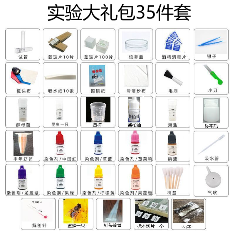 显微镜配件生物教学实验配件大礼包动植物细胞标本切片载玻片标本永久