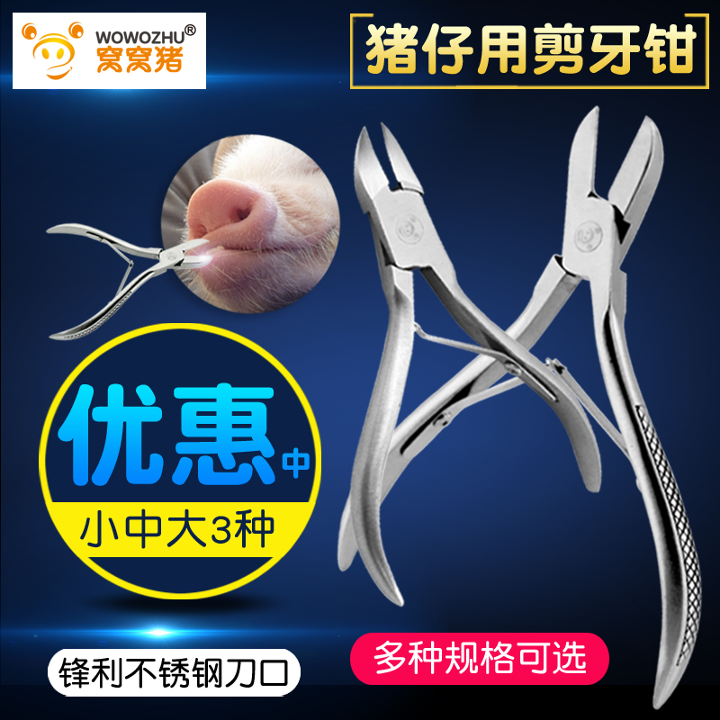 窝窝猪不锈钢剪牙钳小猪仔猪剪牙钳子猪用兽用剪兔牙齿钳器械