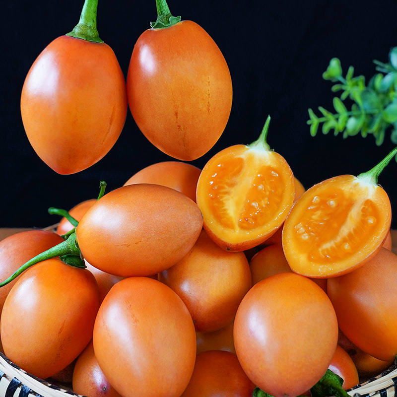 云南大树番茄洋酸茄辣子新鲜水果西红柿时令小洋蕃茄蔬菜傣味蘸水