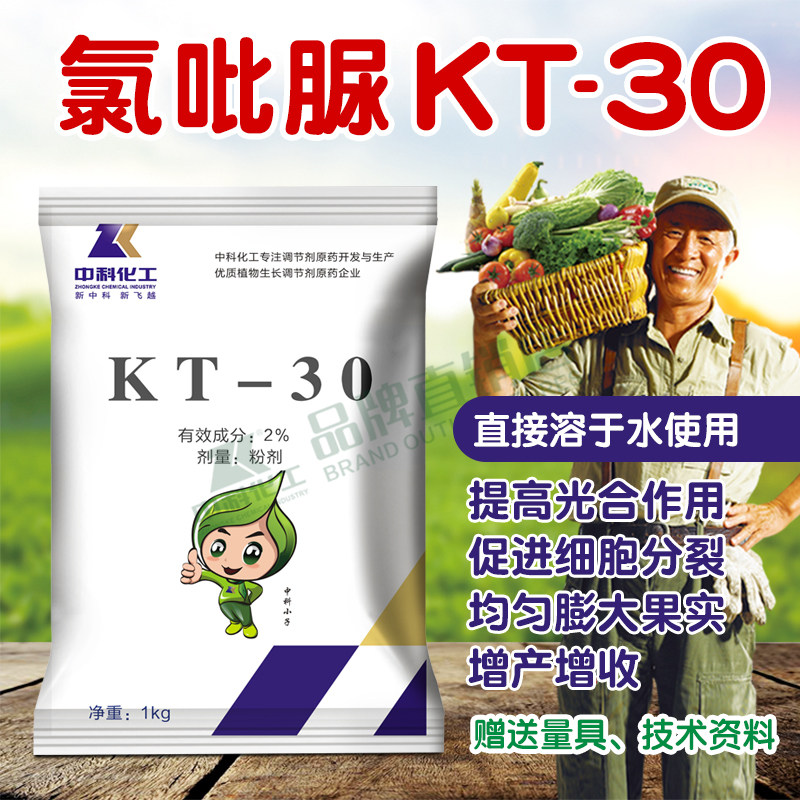 2%原药kt30氯吡脲施特优促进细胞分裂素膨大素膨果剂果树茄果西瓜