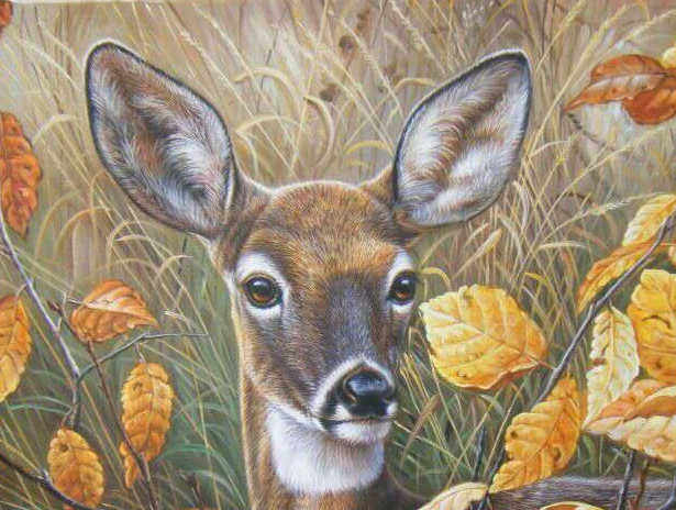 林小杉《梅花鹿》50*60cm 布面油画