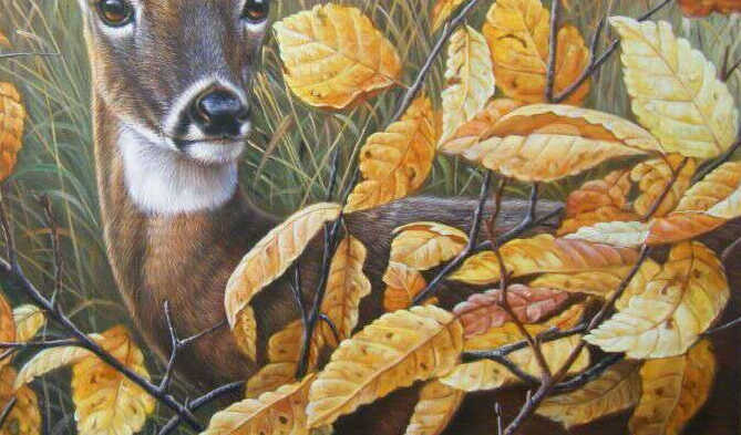 林小杉《梅花鹿》50*60cm 布面油画