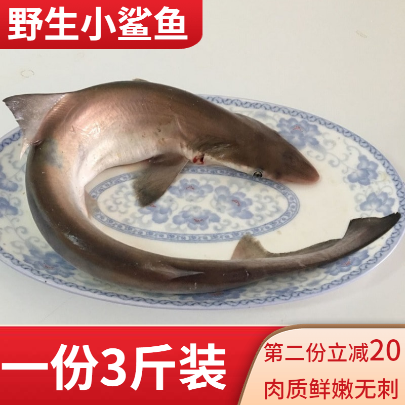 一折鲨鱼肉_北海新鲜小鲨鱼肉鲜活小白鲨冷冻水产鱼类海鲜鲨鱼野生
