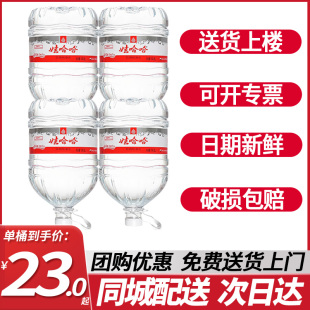 娃哈哈饮用纯净水14.8L*2桶整箱包邮超大桶家庭大瓶饮用非矿泉水