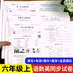 小学六年级上册试卷测试卷全套人教版语文数学英语同步练习题6年级下学期语数英单元考试卷子期中期末复习期末冲刺100分模拟考试卷