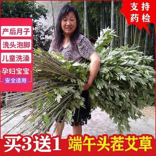 艾叶草产后坐月子洗澡洗头艾叶干艾草婴儿童家用产妇泡澡泡脚药包