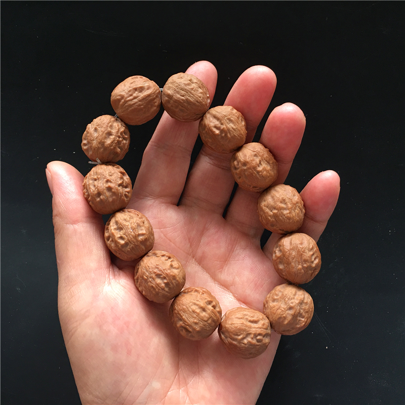 牛筋小核桃