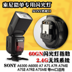 神牛TT600S索尼SONY微单A6300 A7R A7MII A7SII A7RII 专用闪光灯