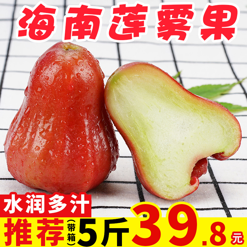 Allspice Hainan Wax apple fruit fresh fruit Season 5 pounds Wax apple Black Diamond 3in the Aquatic meat/Fresh fruits and vegetables/Cooked , Fresh fruit , Wax apple  category - from Buy2taobao.com to provide professional Taobao agent buy service