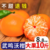 云南蜜桔350g桔子