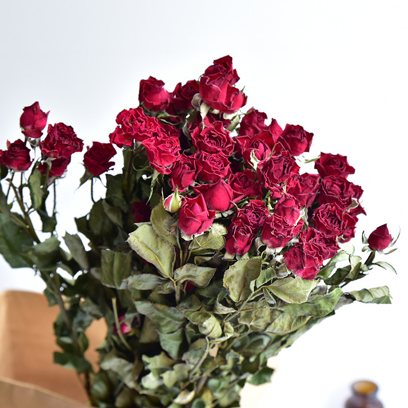 【泡泡玫瑰】天然玫瑰干花花束diy材料薔薇花小清新家居插花花藝 【泡泡玫瑰】天然玫瑰干花花束diy材料薔薇花小清新家居插花花藝