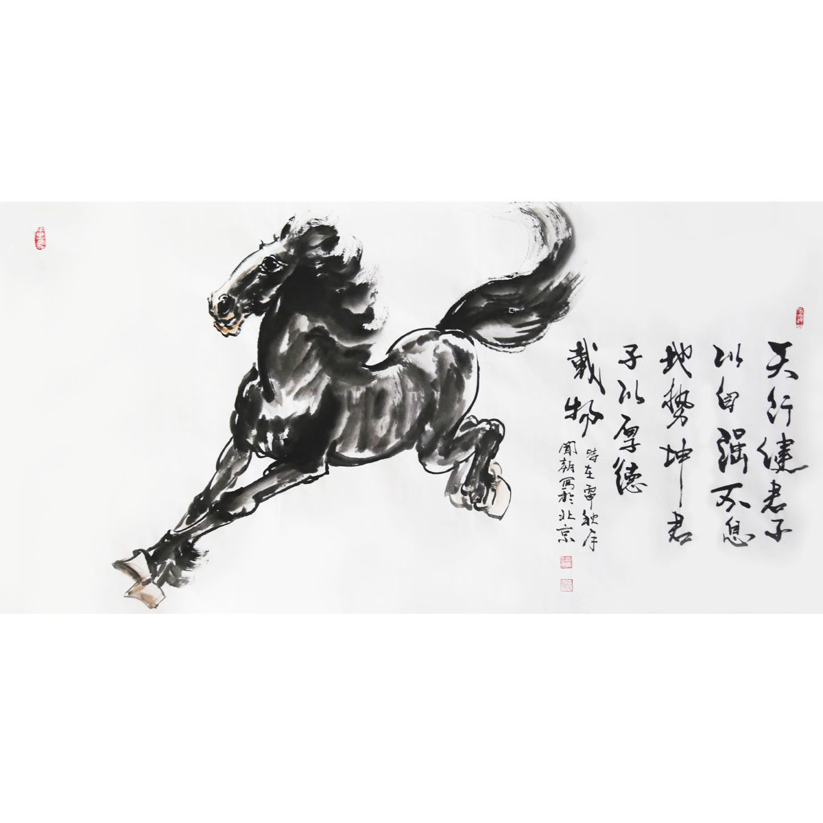 闻朝《一马当先》河南省美协会员