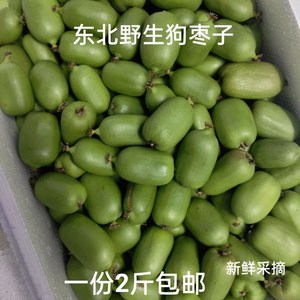 东北野生软枣子图片