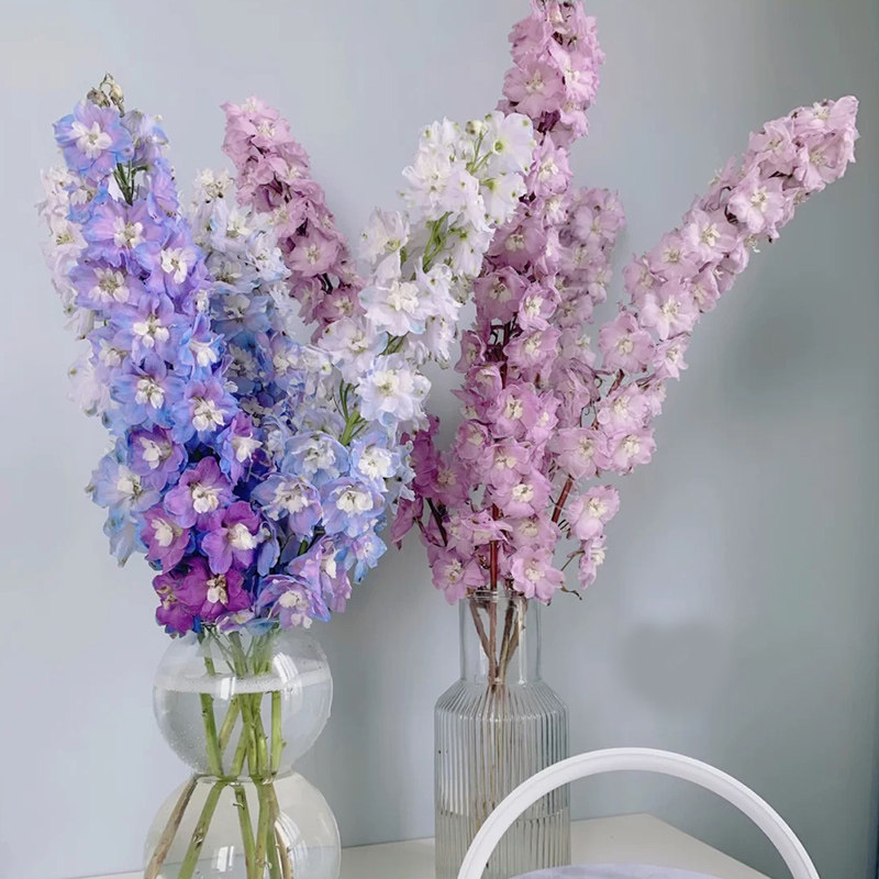 昆明大飞燕鲜花家用办公瓶插鲜切花婚礼花艺商务水养鲜花女神节礼