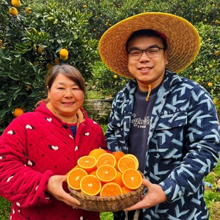 伦晚秭归脐橙自家果园橙子当季整箱新鲜橙子9斤现摘手剥味甜孕妇